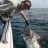 Tim's Black marlin 01